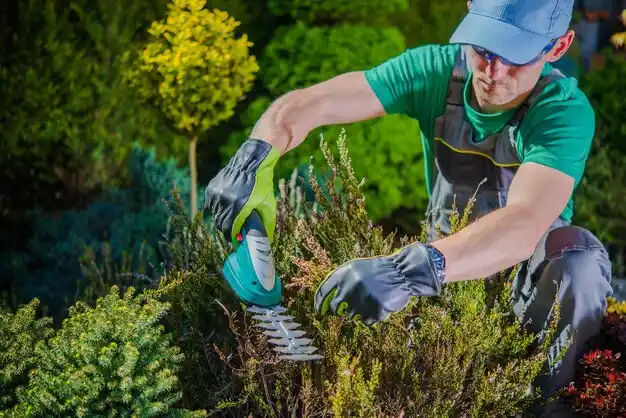 landscaping services Muldraugh